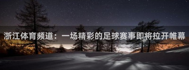杏悦凯捷平台