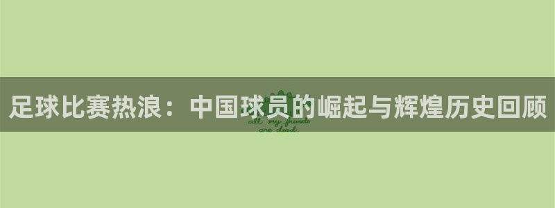 德国杏悦集团