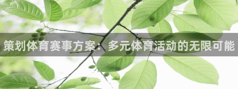 杏悦主管