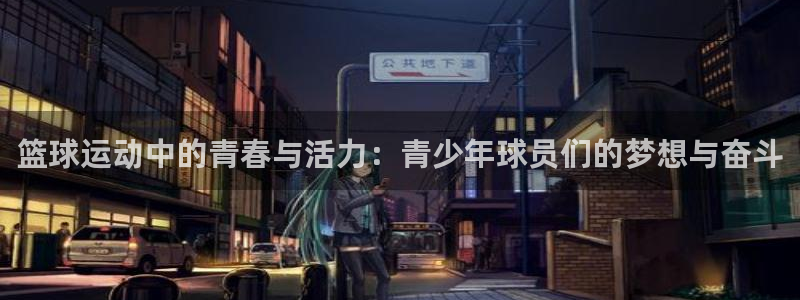 上海杏悦汽车电子有限公司
