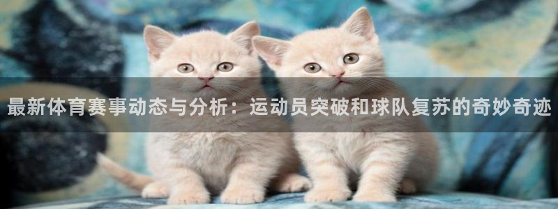 杏悦平台总代理