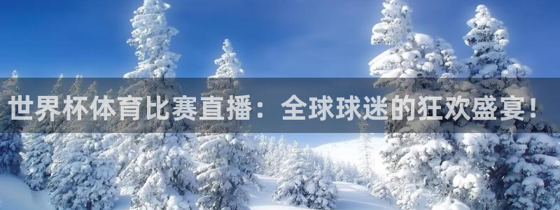 杏悦2平台登录