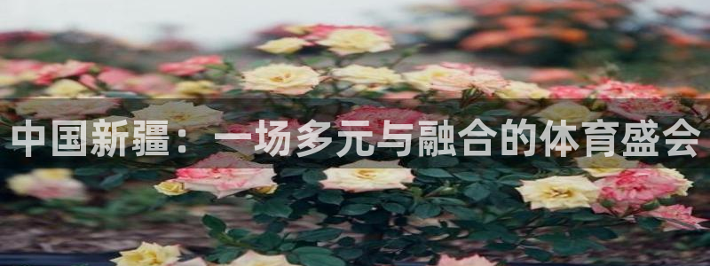 杏悦体育热门赛事有哪些